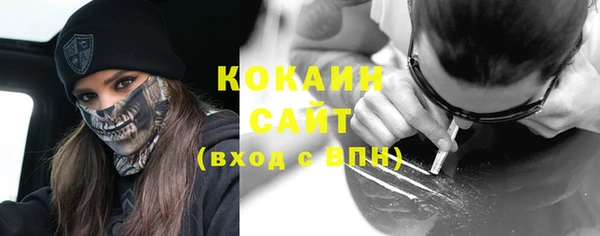 Альфа ПВП Лагань