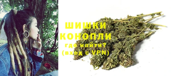 Альфа ПВП Лагань