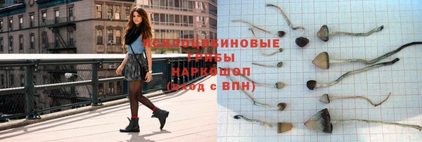 Альфа ПВП Лагань